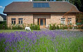 B&B Gielse Garden